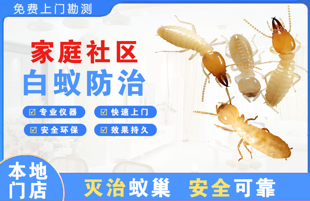 东海家庭社区白蚁防治