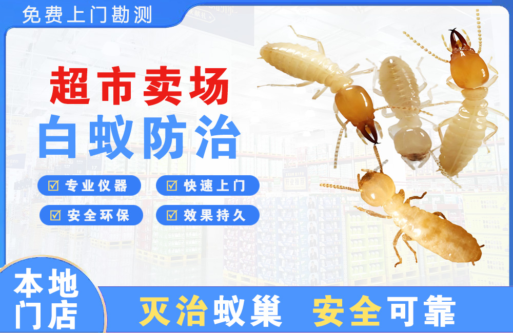 东海超市卖场白蚁防治