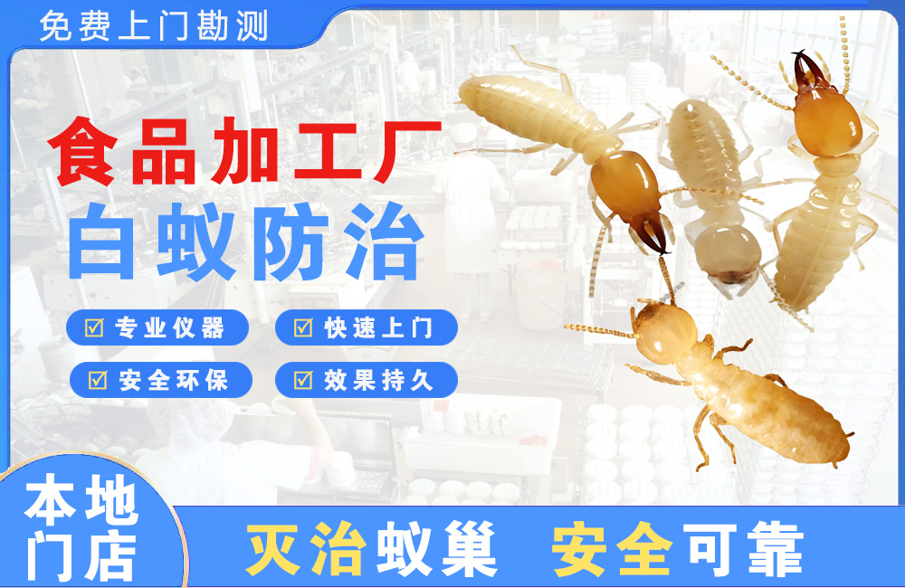 东海食品加工厂白蚁防治