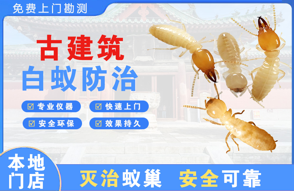 东海古建筑白蚁防治