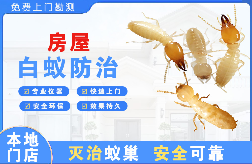 东海房屋白蚁防治
