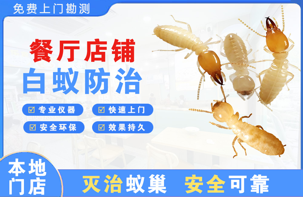 东海餐厅店铺白蚁防治
